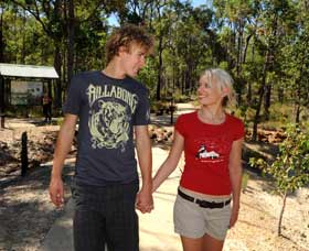 Crooked Brook Forest - Tourism Gold Coast 0