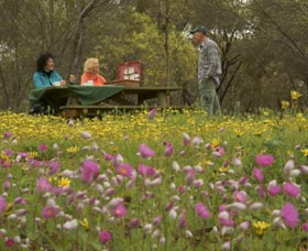 Gwambygine Park - Tourism Gold Coast 0