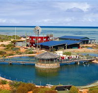 Ocean Park Aquarium - Tourism Gold Coast
