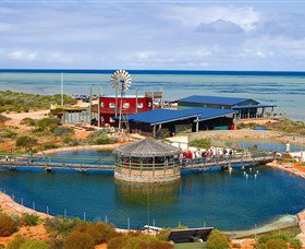 Ocean Park Aquarium - Tourism Gold Coast 0