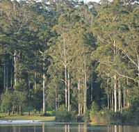 Big Brook Dam - Tourism Gold Coast