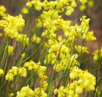 Mount Madden Scenic Drive - Tourism Gold Coast