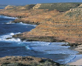 Eagle Gorge - Tourism Gold Coast 0