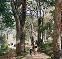 Law Trail and Lotterywest Federation Walkway Kings Park - Tourism Gold Coast