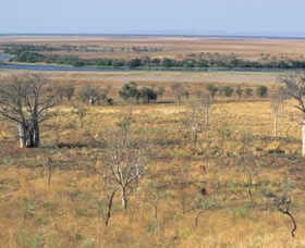 Telegraph Hill - Gold Coast 0