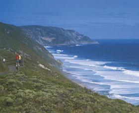 Centennial Park WA Tourism Gold Coast
