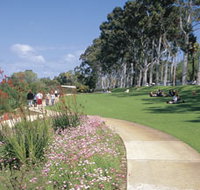 Kings Park Free Guided Walks - Tourism Gold Coast