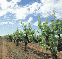 Blackwood Meadery - Tourism Gold Coast