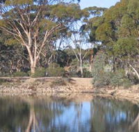 Merredin Railway Dam - Tourism Gold Coast