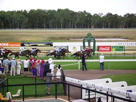 Pinjarra Race Club - Tourism Gold Coast 0