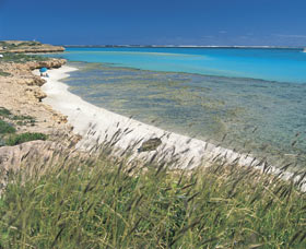 Paradise Beach - Tourism Gold Coast 0