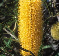 Moore River National Park - Tourism Gold Coast