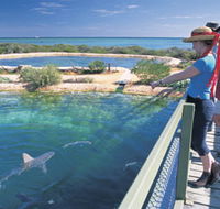 Shark Bay Marine Park - Tourism Gold Coast