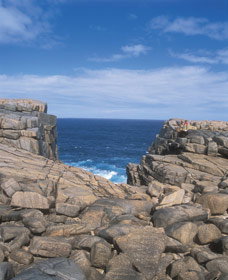 The Gap And Natural Bridge - Tourism Gold Coast 0