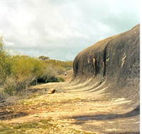 Totadgin Dam Reserve - Tourism Gold Coast