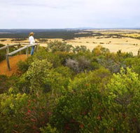 Archer Drive Scenic Drive and Lookout - Tourism Gold Coast