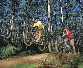 Leeuwin-Naturaliste National Park - Cowaramup - Tourism Gold Coast 0