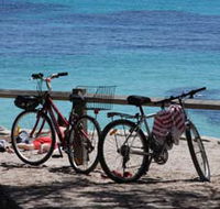 Parker Point Marine Snorkel Trail - Tourism Gold Coast