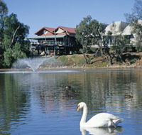 White Swans - Tourism Gold Coast