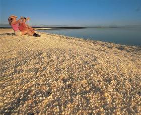 Shell Beach - Tourism Gold Coast 0