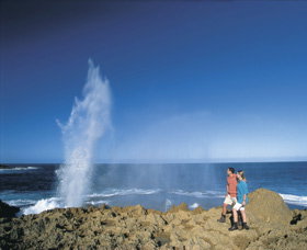 The Blowholes Carnarvon - Tourism Gold Coast 0