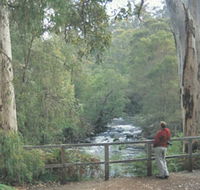 Cascades - Tourism Gold Coast