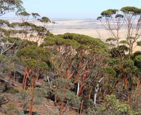 Mount Matilda Walk Trail, Wongan Hills - Gold Coast 0