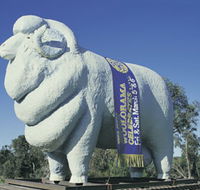 Giant Ram Tourist Park - Tourism Gold Coast