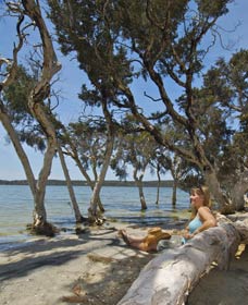 Stokes National Park - Gold Coast 0