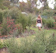 The Mythic Mazes - Gold Coast