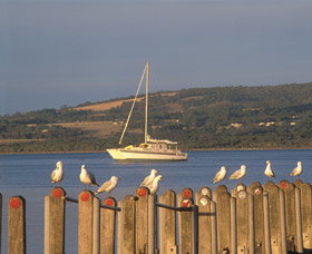 Oyster Harbour - Tourism Gold Coast 0
