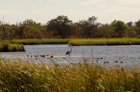 Anytime Adventures In Mandurah & The Peel Region - Tourism Gold Coast 0