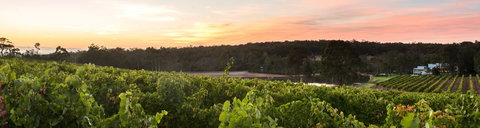 Aravina Estate - Tourism Gold Coast 0