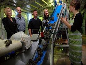 Eyre Peninsula's Seafood Trail - Gold Coast 0