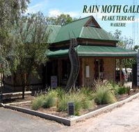 Rain Moth Gallery - Tourism Gold Coast