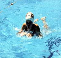 Mount Gambier Aquatic Centre - Tourism Gold Coast