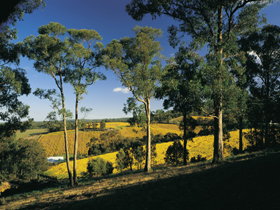 Lobethal SA Tourism Gold Coast