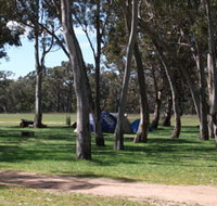 Black Cockatoo Bush Camp - Tourism Gold Coast
