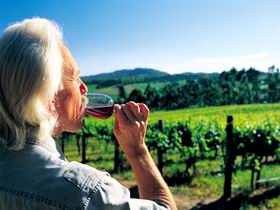 Ashton Hills Vineyard - Tourism Gold Coast 0