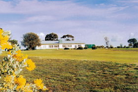 Lucindale Country Club - Tourism Gold Coast 0