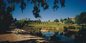 Mount Hurtle Winery Home Of Geoff Merrill Wines - Tourism Gold Coast 0
