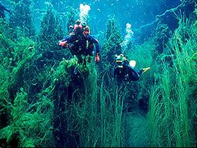 Carpenter Rocks SA Tourism Gold Coast