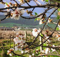 Cradle of Hills McLaren Vale Winery - Tourism Gold Coast
