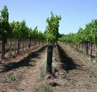 Temple Bruer Winery - Tourism Gold Coast