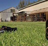 Wilkadene Woolshed Brewery - Tourism Gold Coast