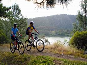Mount Gambier Crater Lakes Mountain Bike Trail - Tourism Gold Coast 0