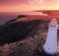 Lashmar Conservation Park - Tourism Gold Coast