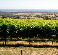 Braydun Hill Vineyard - Tourism Gold Coast