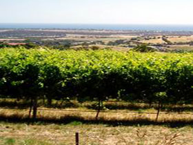 Braydun Hill Vineyard - Gold Coast 0