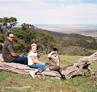 Bridle Track - Tourism Gold Coast